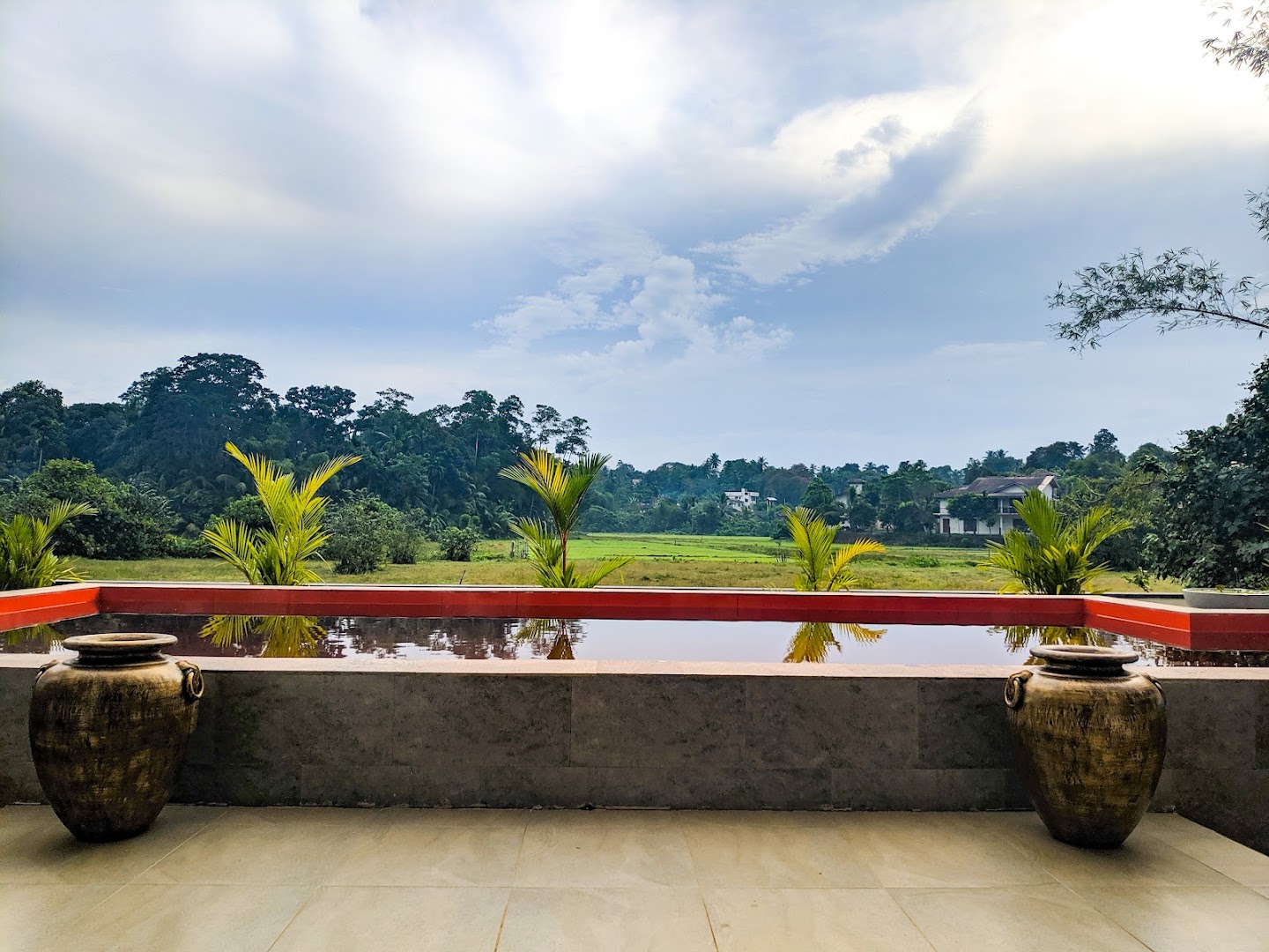 Red-edged pool overlooking green rice fields