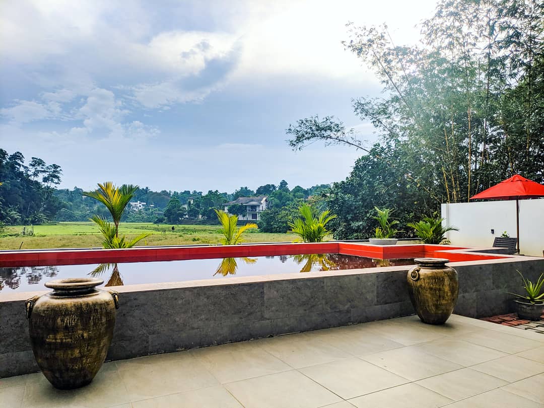 Side view of the red pool with palms and bamboo